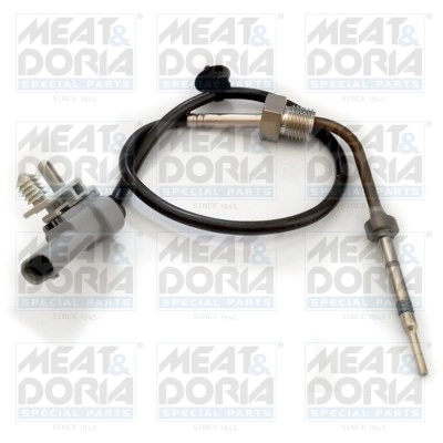 Sensor, exhaust gas temperature